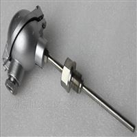 WZP工業熱(rè)電阻，一體化熱(rè)電阻