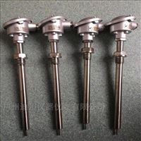 wzp赫斯曼溫(wen)度傳感器